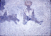 小犬