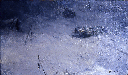 台風禍