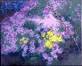 花（菊）