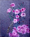 花（菊）