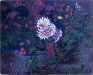 花（菊）