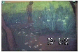 水仙（子供のいる）